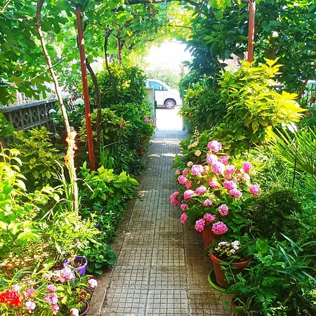 Heidi's - Summer Guest house